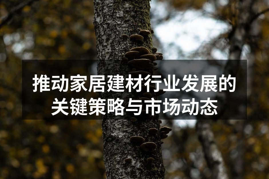 推动家居建材行业发展的关键策略与市场动态